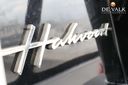 Hakvoort 21 M
