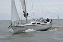 Dehler 36CWS Wombat