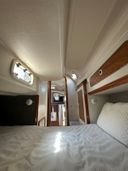 Dehler 36CWS Wombat