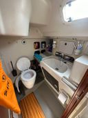 Dehler 36CWS Wombat