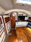 Dehler 36CWS Wombat
