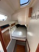 Dehler 36CWS Wombat