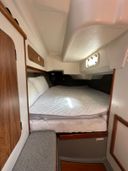 Dehler 36CWS Wombat