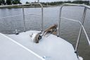 Linssen Dutch Sturdy 260 OC .