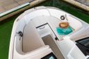 Sea Ray SPX 190 Outboard
