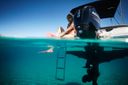 Sea Ray SPX 190 Outboard