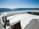 Sea Ray SDX 250 Outboard