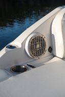 Sea Ray SDX 250 Outboard