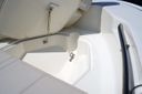 Boston Whaler 250 Dauntless