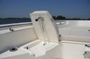 Boston Whaler 250 Dauntless