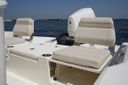 Boston Whaler 250 Dauntless