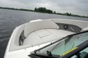 Sea Ray SPX 230