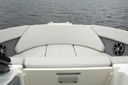 Sea Ray SPX 230