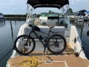 Sea Ray Sundancer 290