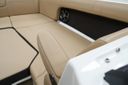 Sea Ray SDX 270