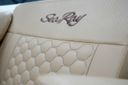 Sea Ray SDX 270