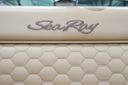 Sea Ray SDX 270