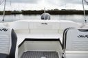 Sea Ray SPX 210 Outboard