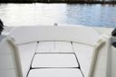 Sea Ray SPX 210 Outboard