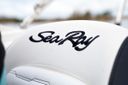 Sea Ray SPX 210 Outboard