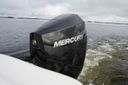 Sea Ray SPX 210 Outboard
