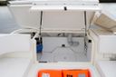 Sea Ray SPX 210 Outboard