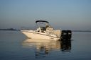 Boston Whaler 270 Dauntless