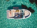 Sea Ray SPX 210 New Model 2025