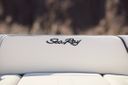 Sea Ray SPX 210 New Model 2025