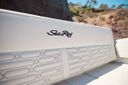 Sea Ray SPX 210 New Model 2025