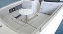 Sea Ray SDX 290