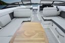 Sea Ray SDX 290