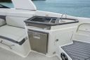 Sea Ray SDX 290