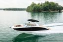 Sea Ray SDX 290