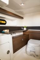 Sea Ray SDX 290
