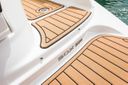 Sea Ray SDX 290