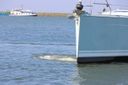 Hanse 415 -