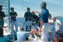 Sparkman & Stephens 61 - Tenacious
