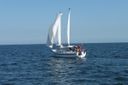 Van Rijnsoever Schoener 1050 Crazy