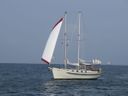 Van Rijnsoever Schoener 1050 Crazy