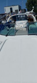 Bayliner 305 Into the blue